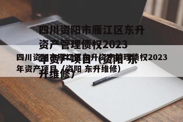 四川资阳市雁江区东升资产管理债权2023年资产项目（资阳 东升维修）