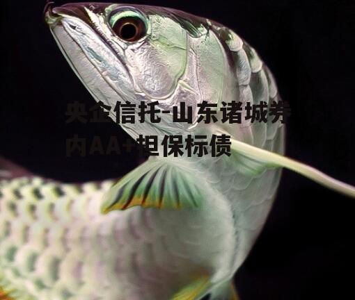 央企信托-山东诸城券内AA+担保标债