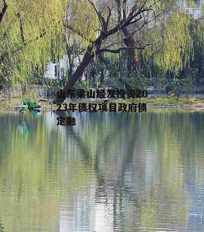 山东梁山经发投资2023年债权项目政府债定融
