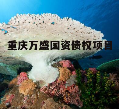 重庆万盛国资债权项目