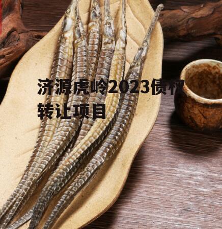 济源虎岭2023债权转让项目
