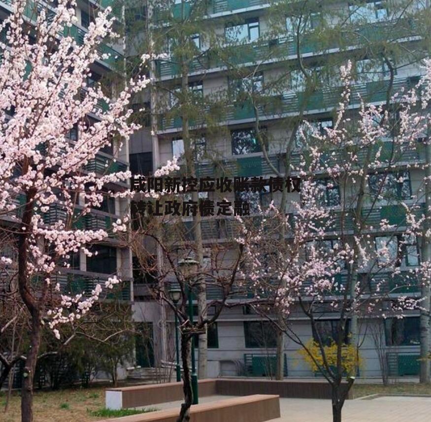 咸阳新控应收账款债权转让政府债定融
