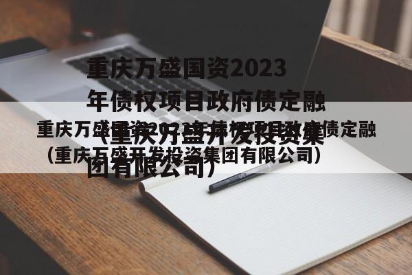 重庆万盛国资2023年债权项目政府债定融（重庆万盛开发投资集团有限公司）