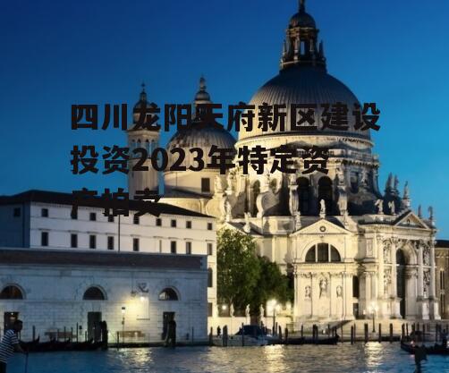 四川龙阳天府新区建设投资2023年特定资产拍卖