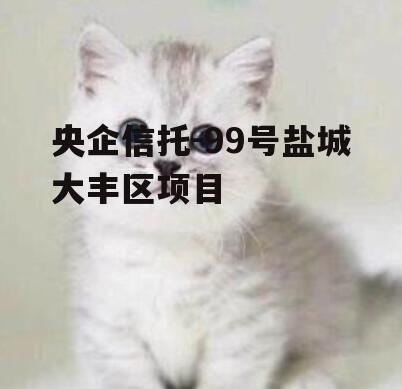 央企信托-99号盐城大丰区项目
