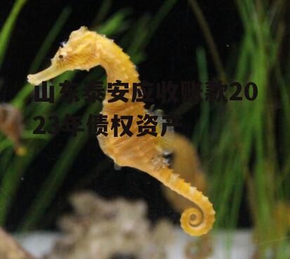 山东泰安应收账款2023年债权资产