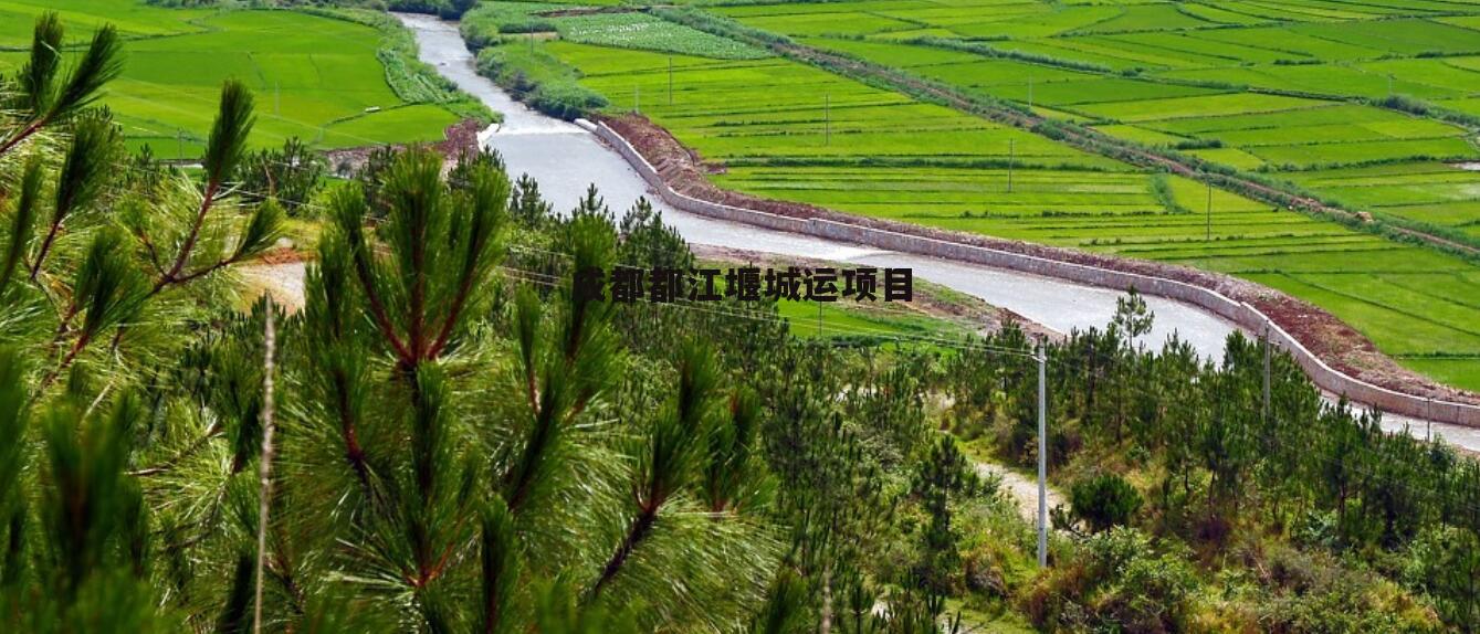 成都都江堰城运项目