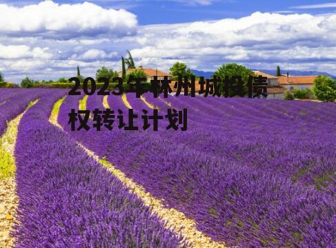 2023年林州城投债权转让计划