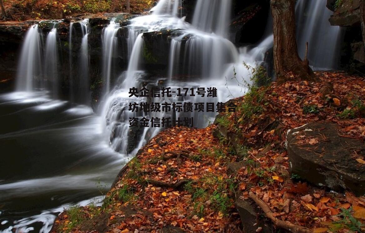 央企信托-171号潍坊地级市标债项目集合资金信托计划