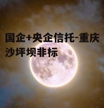 国企+央企信托-重庆沙坪坝非标