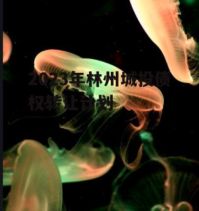 2023年林州城投债权转让计划