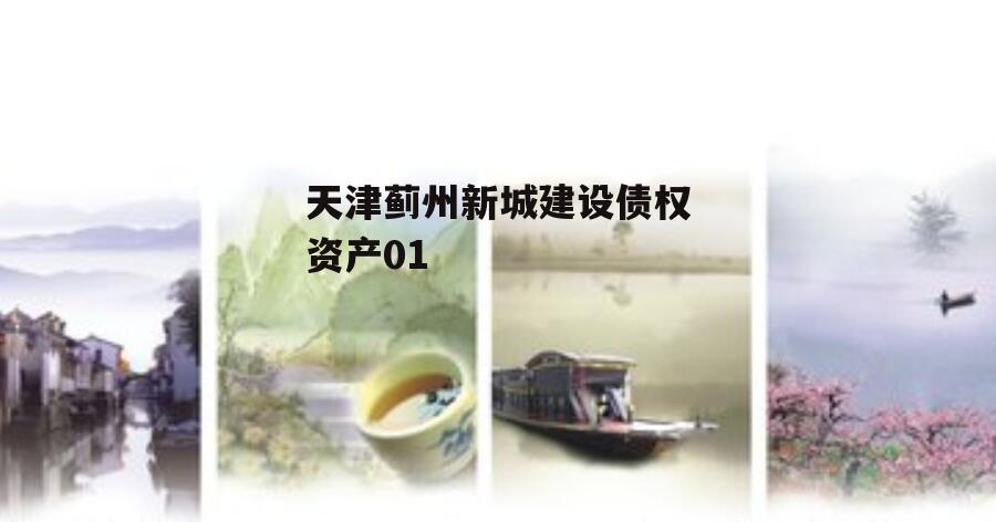 天津蓟州新城建设债权资产01
