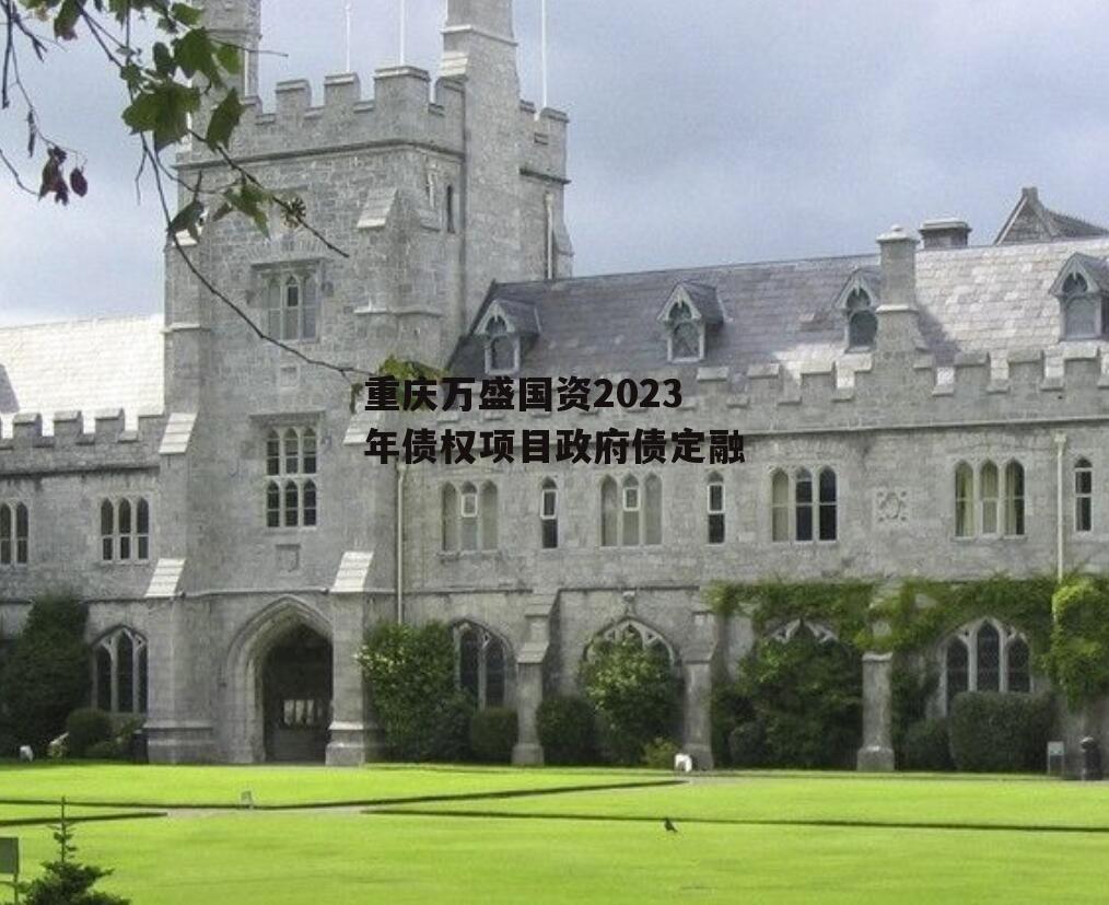 重庆万盛国资2023年债权项目政府债定融