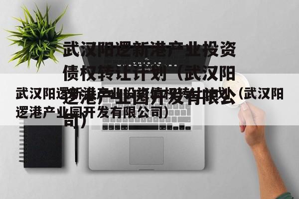 武汉阳逻新港产业投资债权转让计划（武汉阳逻港产业园开发有限公司）