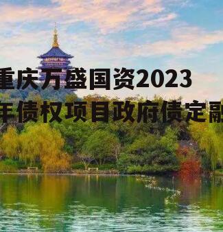 重庆万盛国资2023年债权项目政府债定融