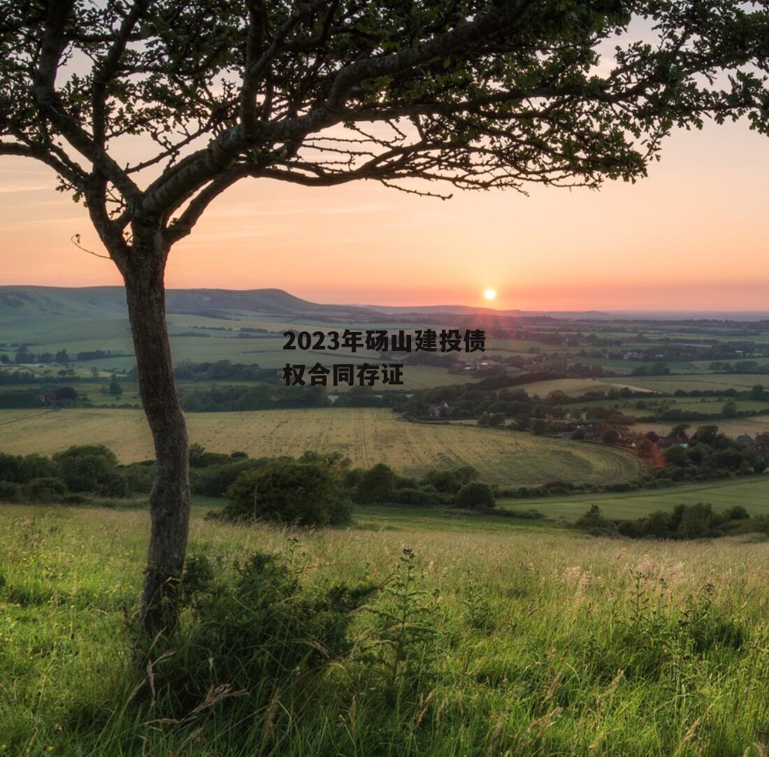 2023年砀山建投债权合同存证