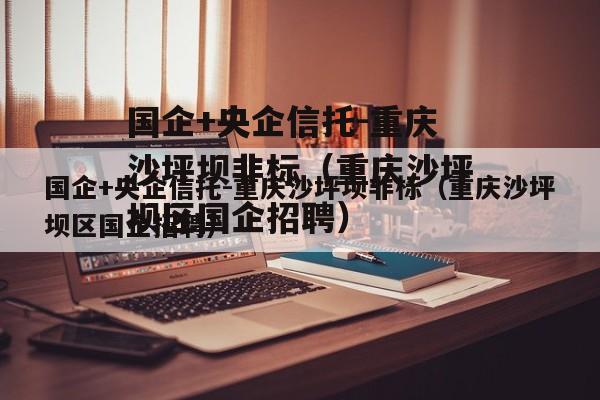 国企+央企信托-重庆沙坪坝非标（重庆沙坪坝区国企招聘）