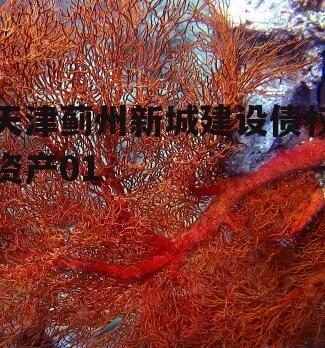 天津蓟州新城建设债权资产01