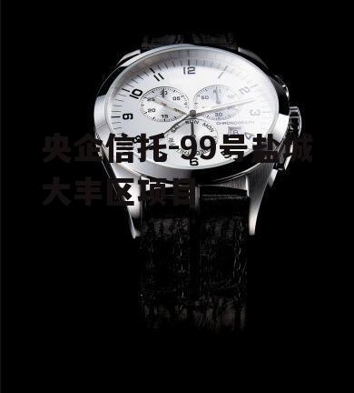 央企信托-99号盐城大丰区项目