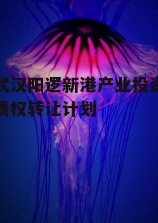 武汉阳逻新港产业投资债权转让计划