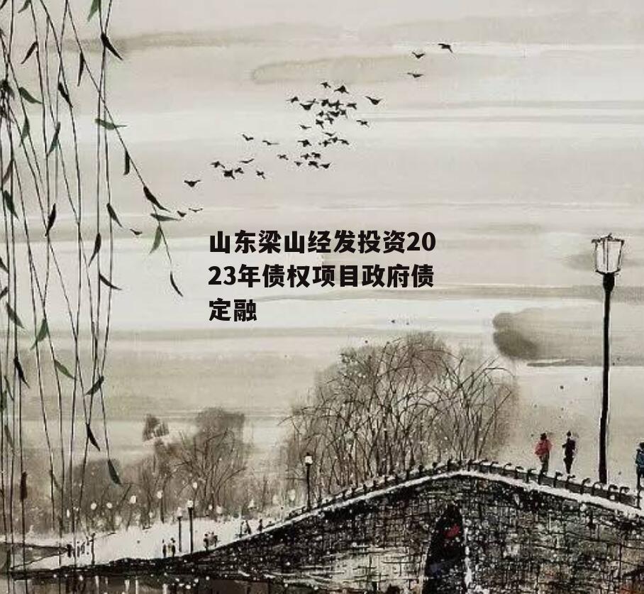 山东梁山经发投资2023年债权项目政府债定融