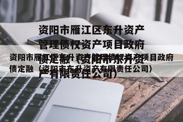 资阳市雁江区东升资产管理债权资产项目政府债定融（资阳市东升资产有限责任公司）