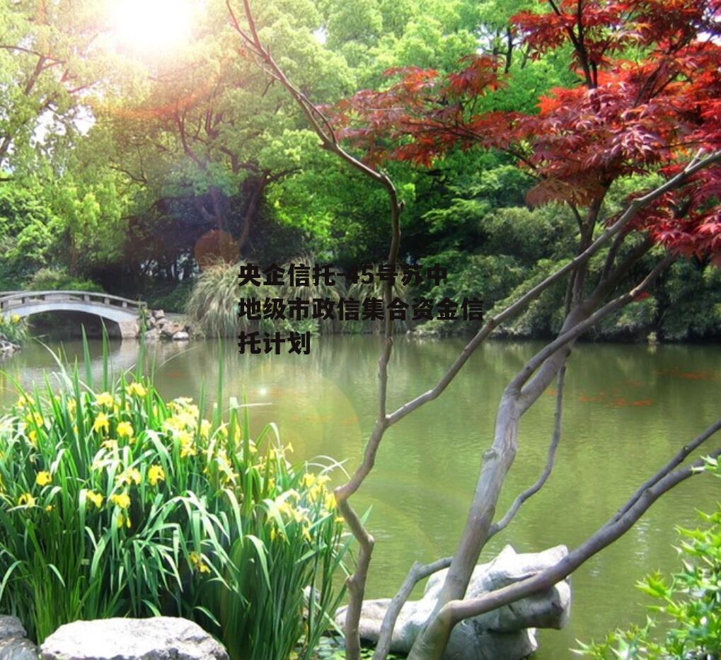 央企信托-45号苏中地级市政信集合资金信托计划