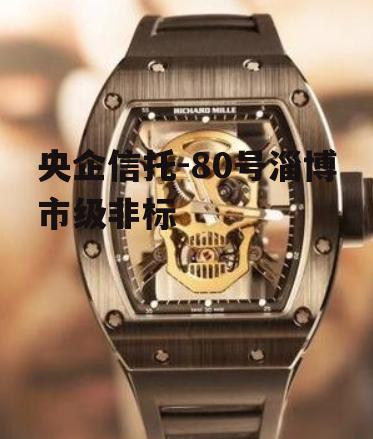 央企信托-80号淄博市级非标