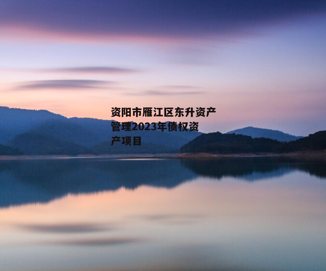 资阳市雁江区东升资产管理2023年债权资产项目
