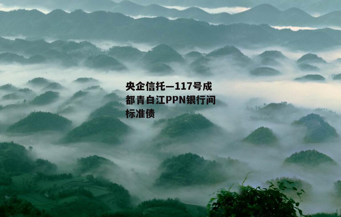 央企信托—117号成都青白江PPN银行间标准债