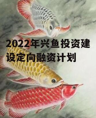 2022年兴鱼投资建设定向融资计划
