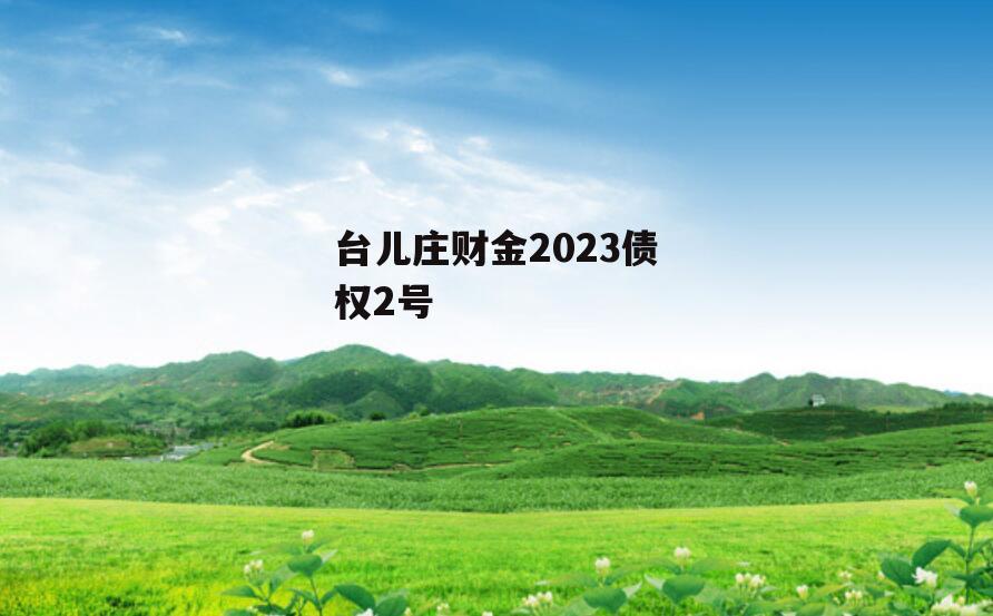 台儿庄财金2023债权2号