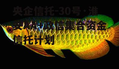 央企信托-30号·淮安AA+政信集合资金信托计划