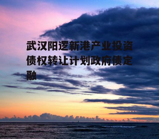 武汉阳逻新港产业投资债权转让计划政府债定融