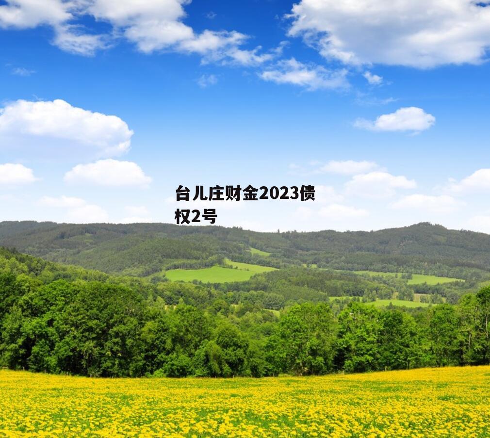 台儿庄财金2023债权2号