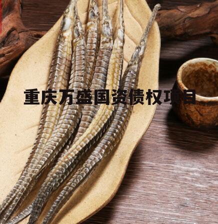 重庆万盛国资债权项目