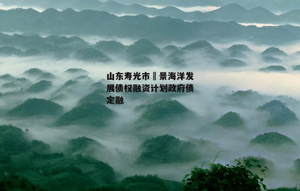 山东寿光市昇景海洋发展债权融资计划政府债定融
