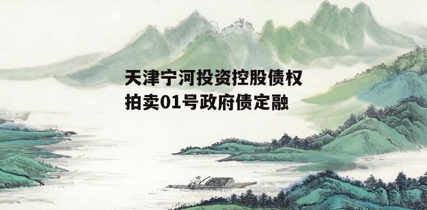天津宁河投资控股债权拍卖01号政府债定融