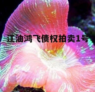 江油鸿飞债权拍卖1号
