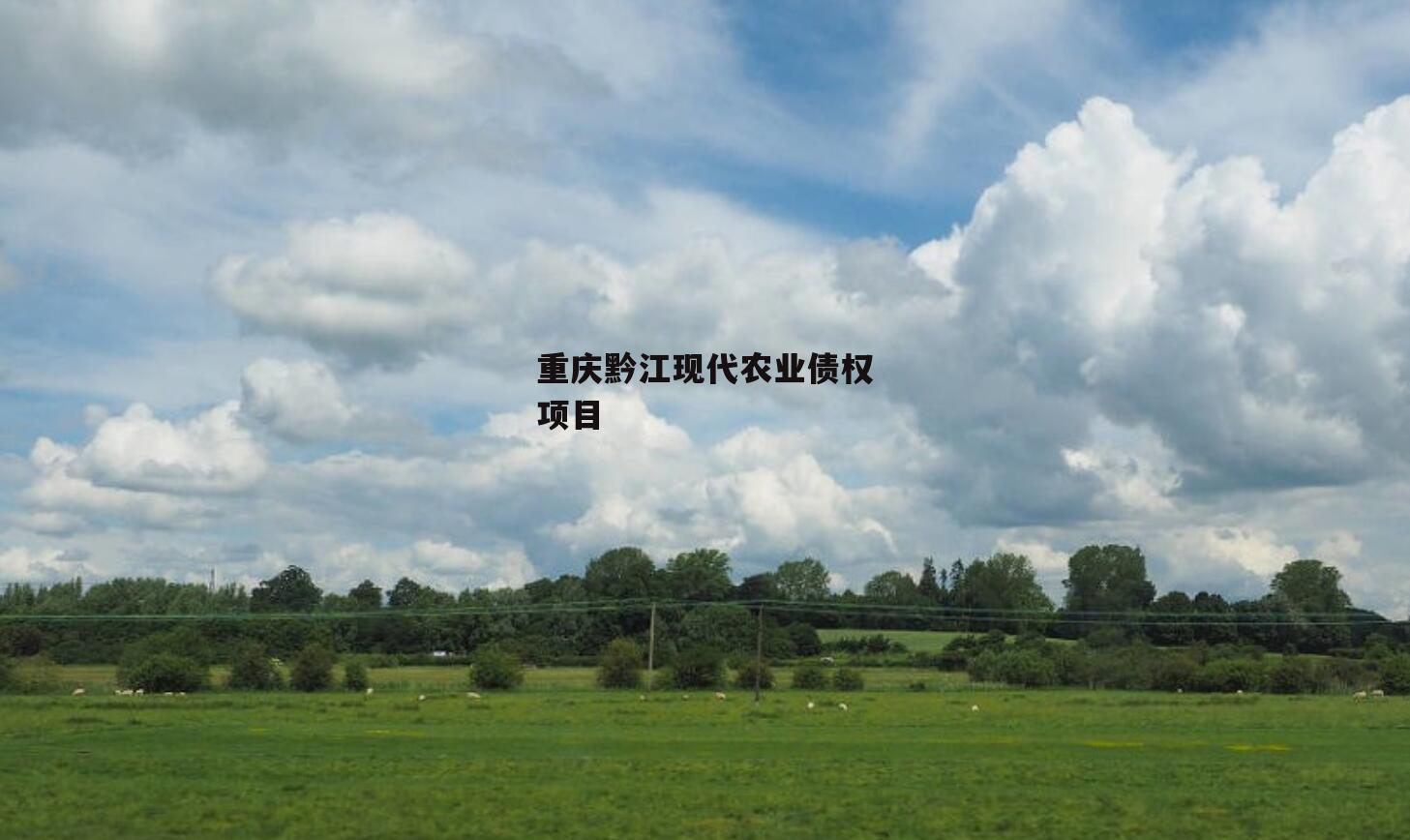 重庆黔江现代农业债权项目