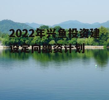 2022年兴鱼投资建设定向融资计划