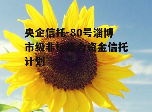 央企信托-80号淄博市级非标集合资金信托计划