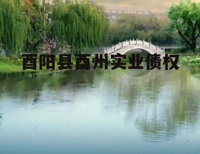酉阳县酉州实业债权