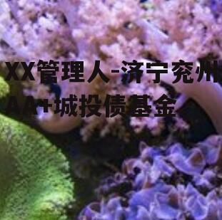 XX管理人-济宁兖州AA+城投债基金