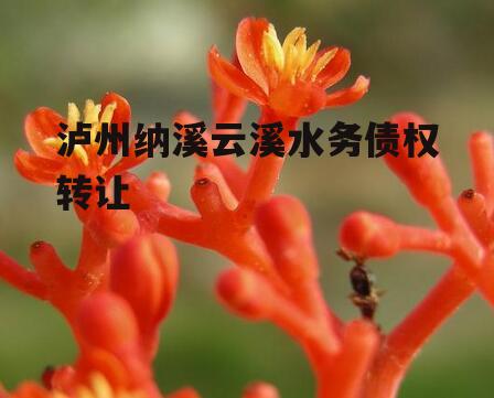 泸州纳溪云溪水务债权转让