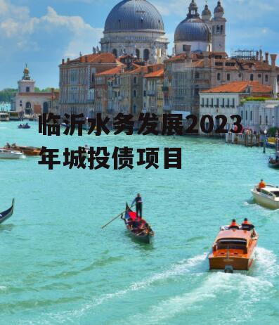 临沂水务发展2023年城投债项目