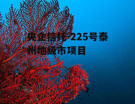 央企信托-225号泰州地级市项目