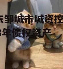山东邹城市城资控股2023年债权资产