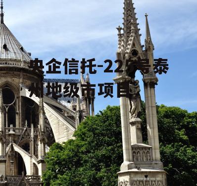 央企信托-225号泰州地级市项目