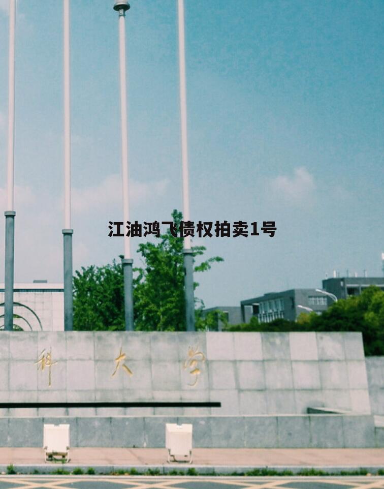 江油鸿飞债权拍卖1号